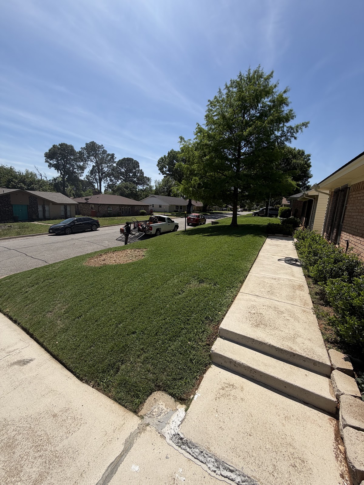 Olvera's Lawn Service project 13