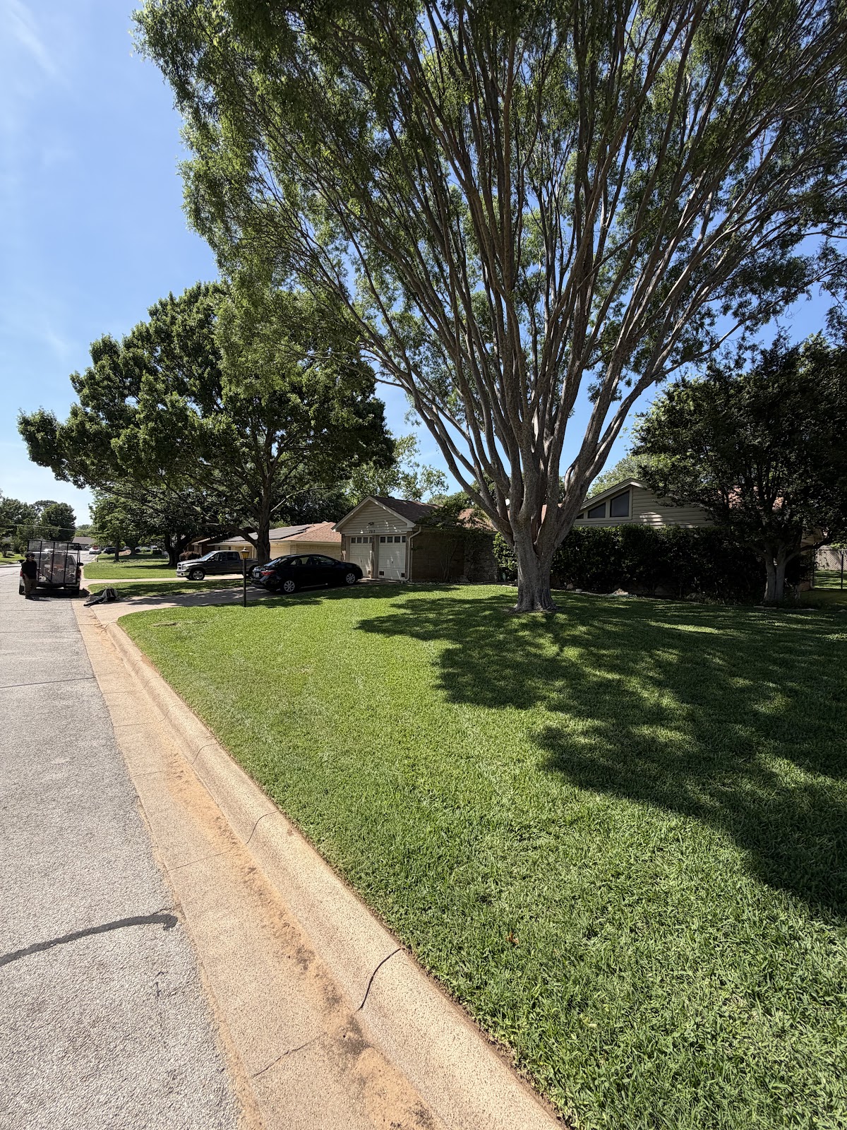 Olvera's Lawn Service project 14
